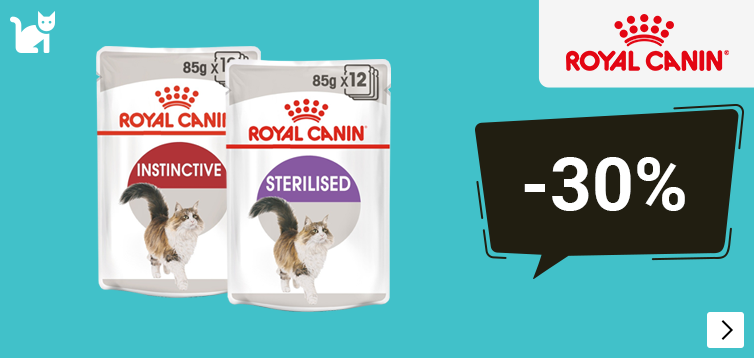 Royal Canin regulier natvoer kat 30% korting CAT